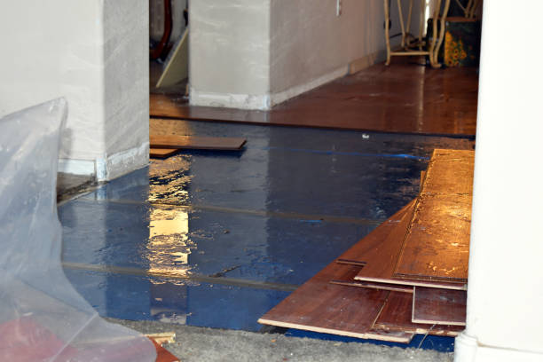 Professional Sewage Cleanup technician working in Racine, OH